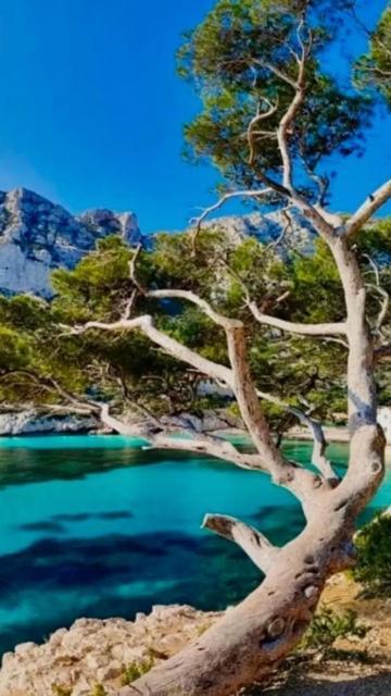 Apartamento 2 Proche Port De Vecchio Porto-Vecchio (Corsica)